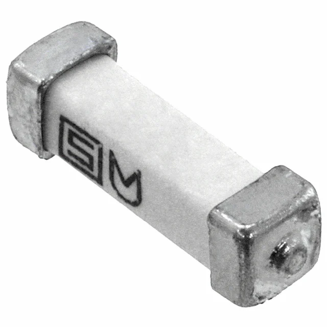 3405.0169.24 SCHURTER Inc. Fusibles